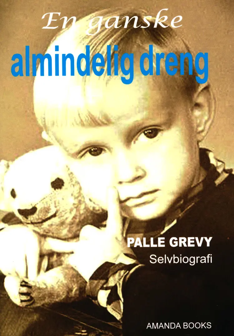 En ganske almindelig dreng af Palle Grevy