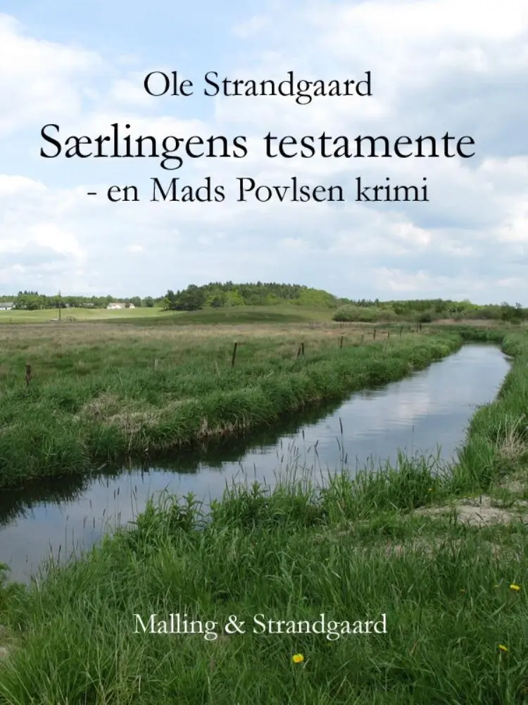 Særlingens testamente af Ole Strandgaard