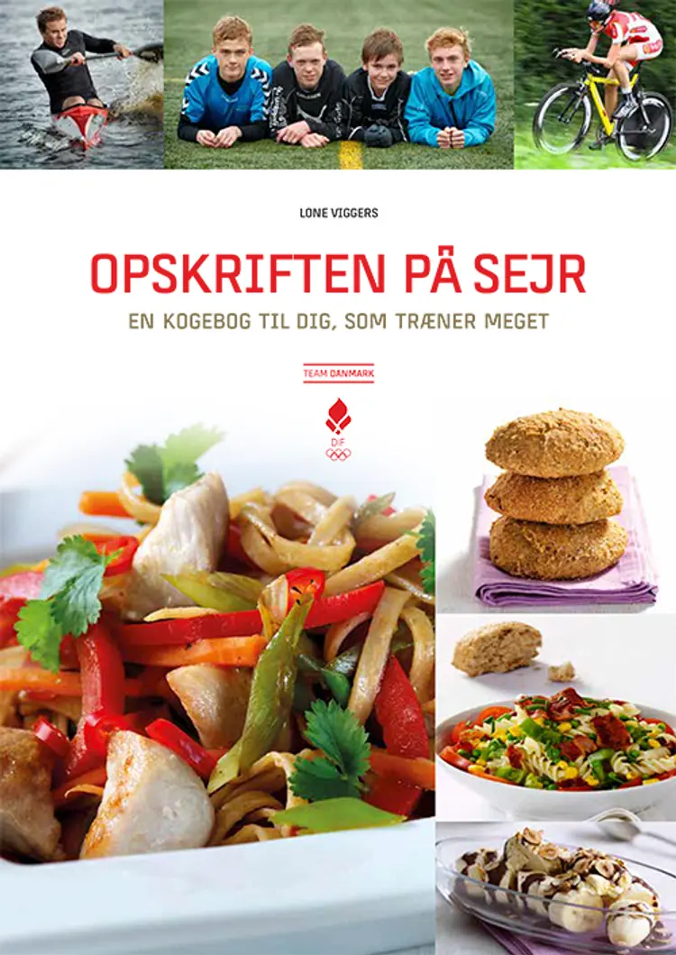 Opskriften på sejr af Lone Viggers