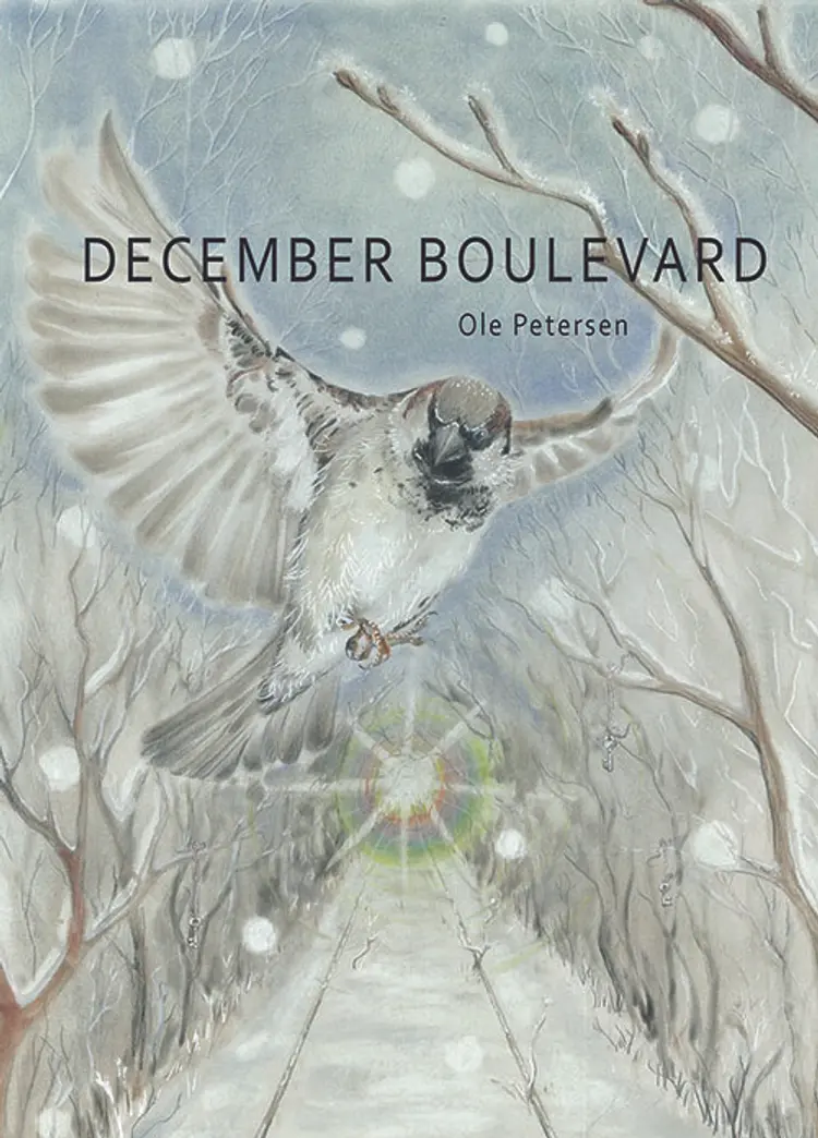 December Boulevard af Ole Petersen