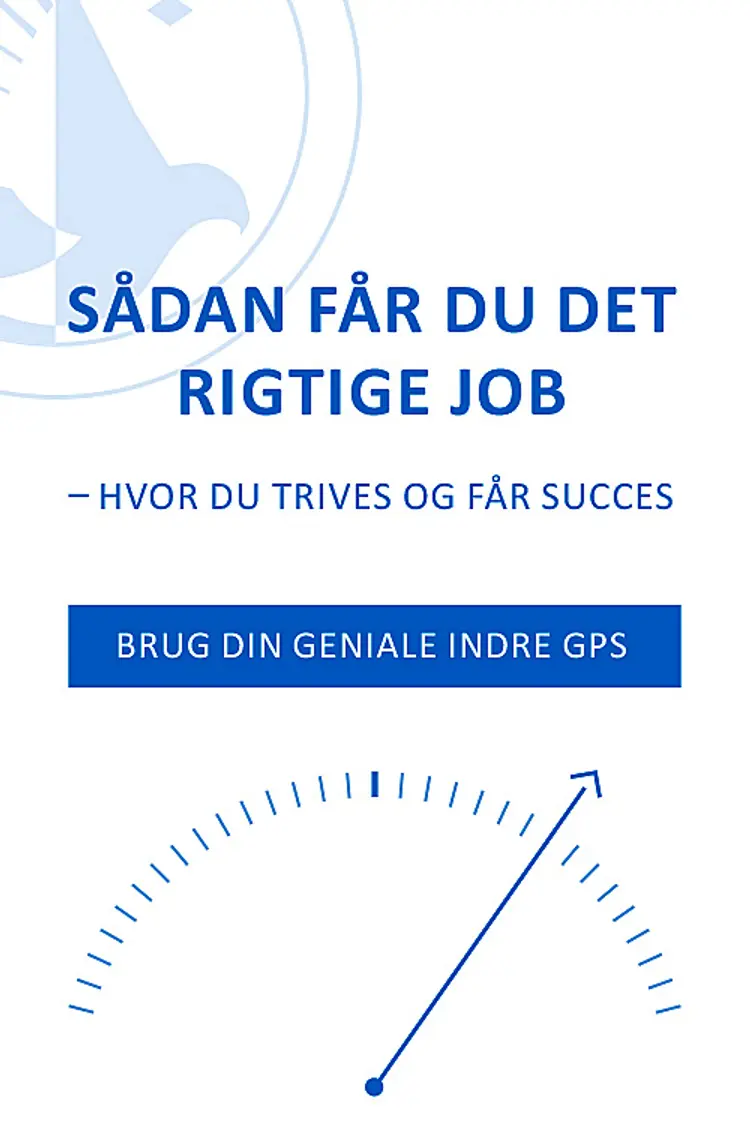 Sådan får du det rigtige job - hvor du trives og får succes af Kenneth Lindner