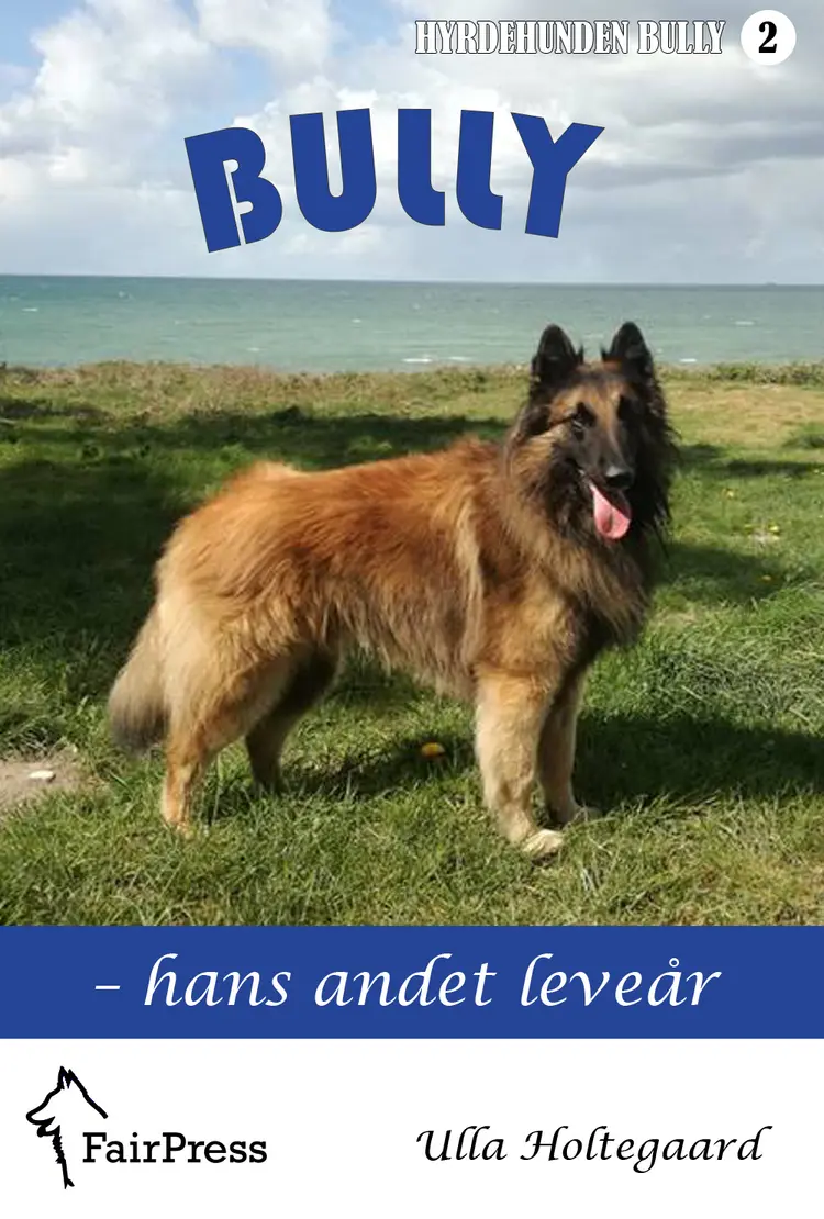 Hans andet leveår af Ulla Holtegaard