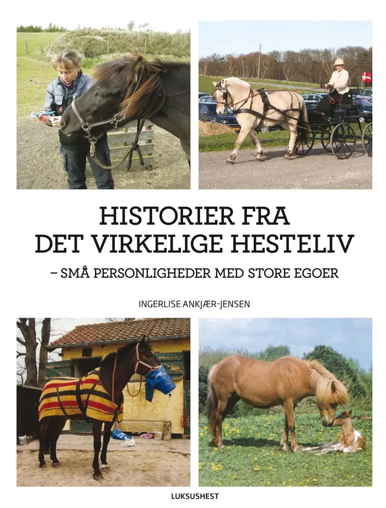 Historier fra det virkelige hesteliv af Ingerlise Ankjær Jensen
