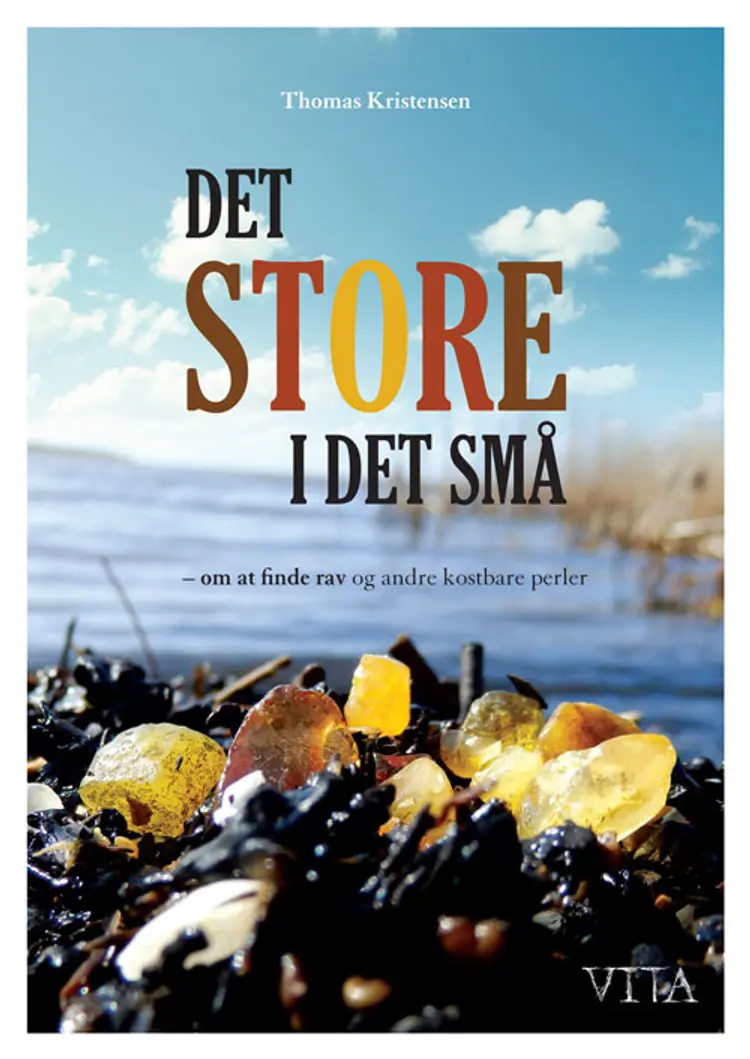 Det store i det små af Thomas Kristensen