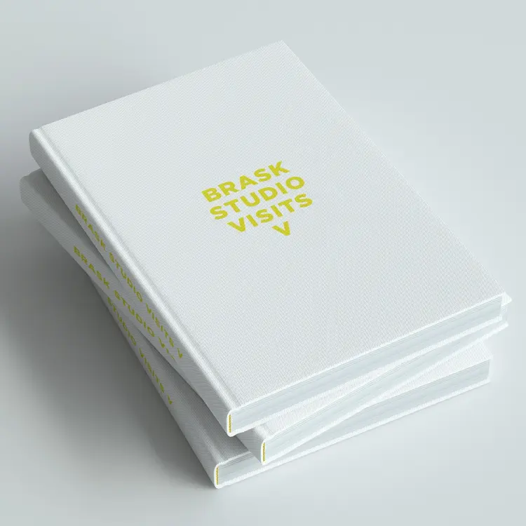 Brask Studio Visits V af Jens-Peter Brask