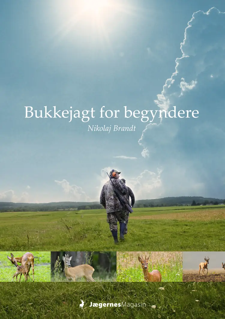 Bukkejagt for begyndere af Nikolaj Brandt