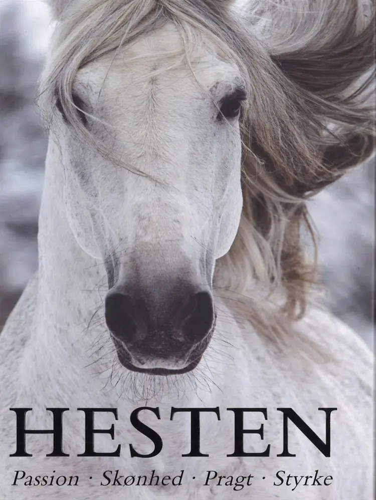 Hesten af Elaine Walker
