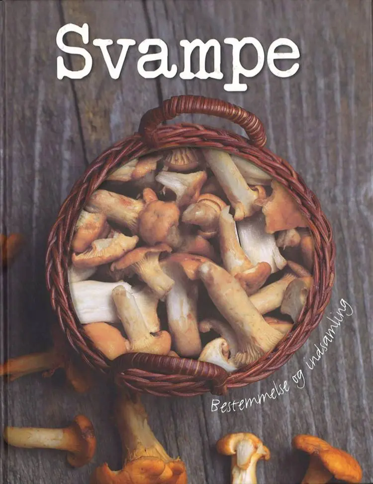 Svampe af Ute Künkele