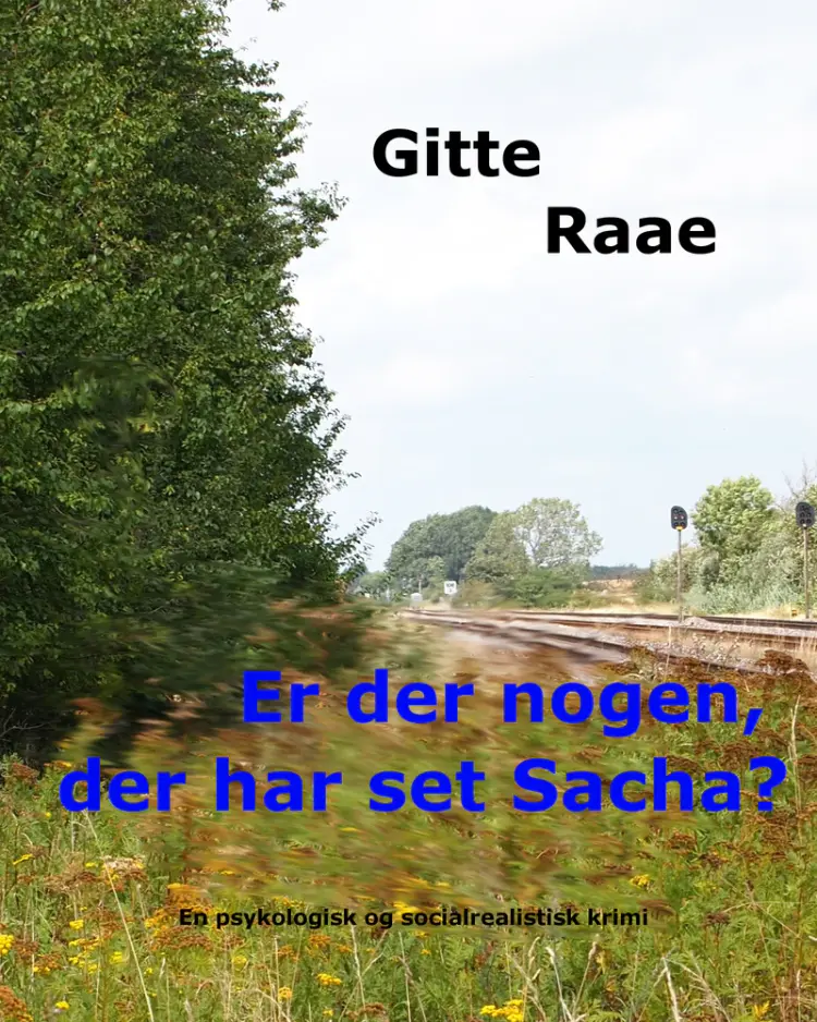 Er der nogen, der har set Sacha? af Gitte Raae