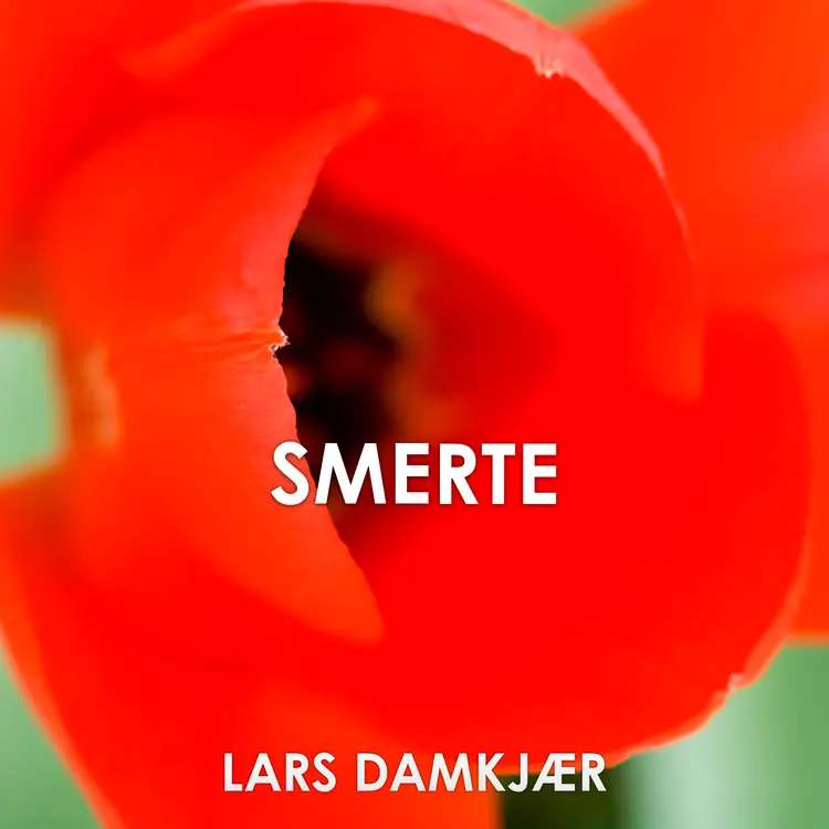 Smerte af Lars Damkjær