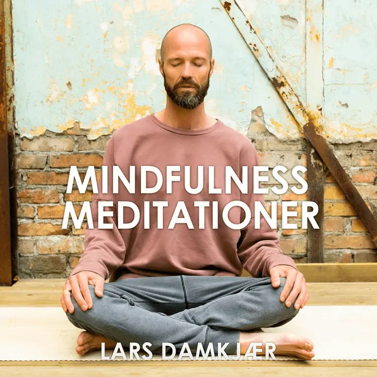 Mindfulness meditationer af Lars Damkjær