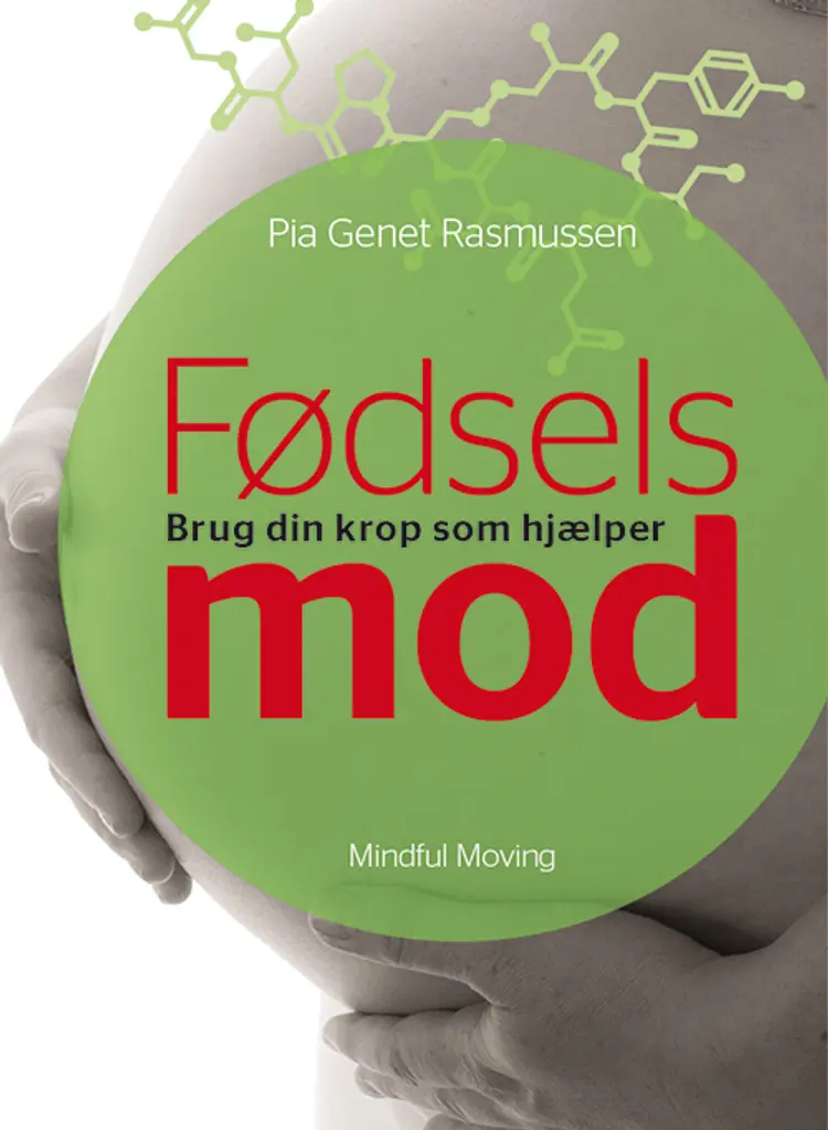Fødselsmod af Heidi Korsgaard
