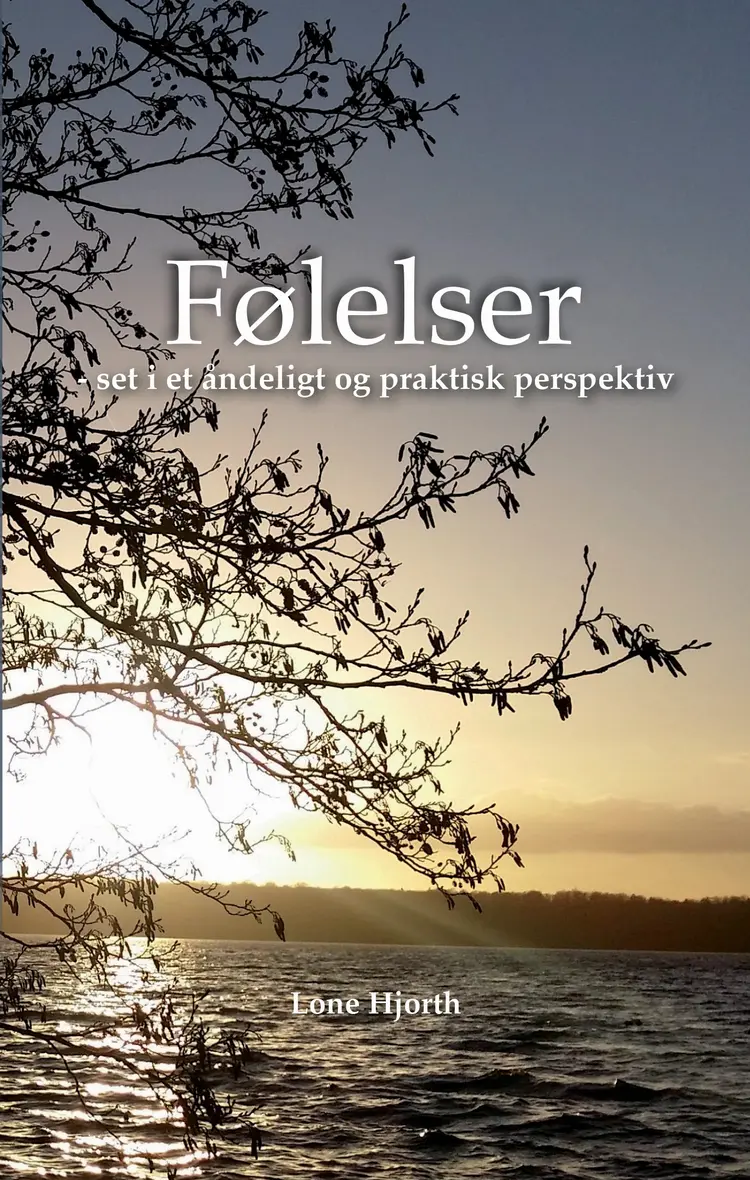 Følelser - set i et åndeligt og praktisk perspektiv af Lone Hjorth