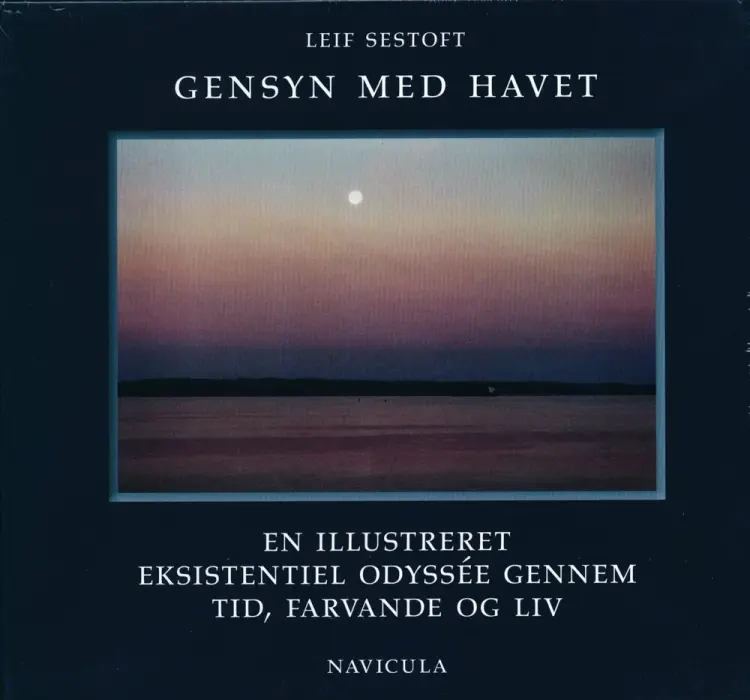 Gensyn med havet af Leif Sestoft