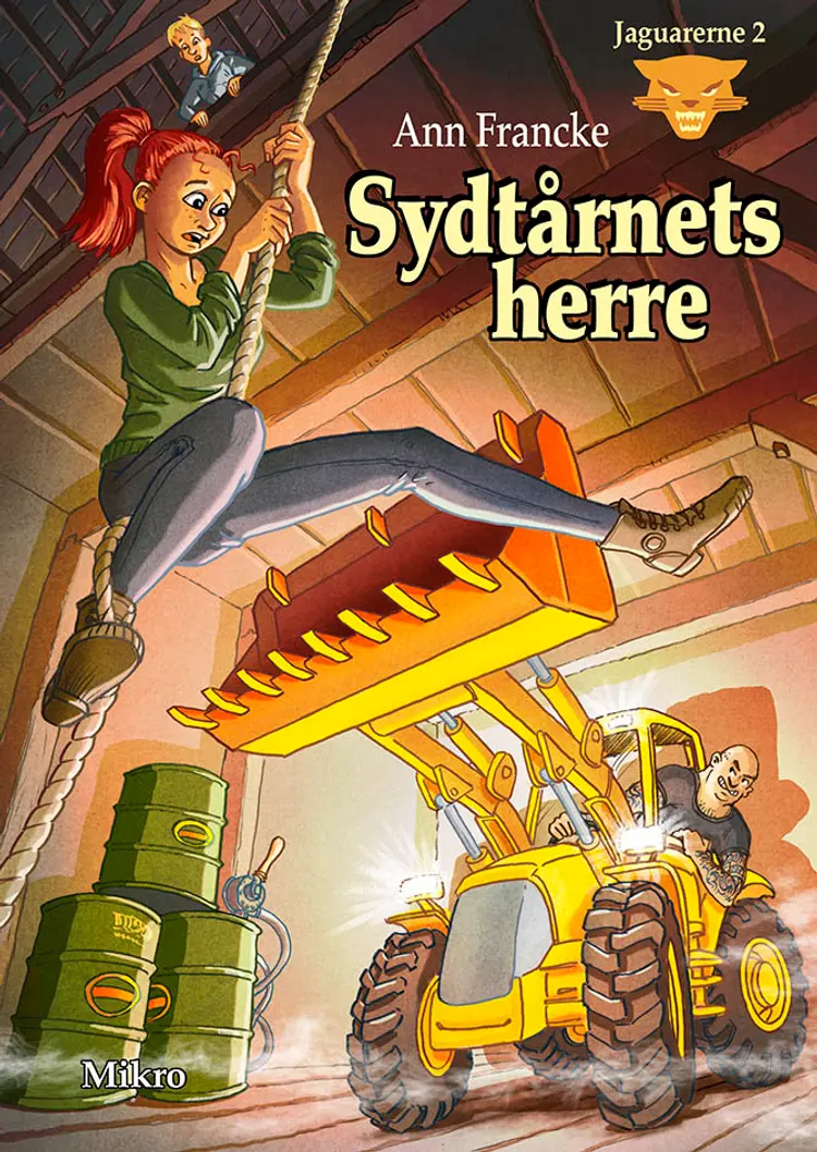 Sydtårnets herre af Ann Francke