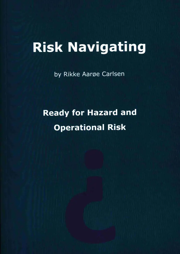Risk navigating af Rikke Aarøe Carlsen
