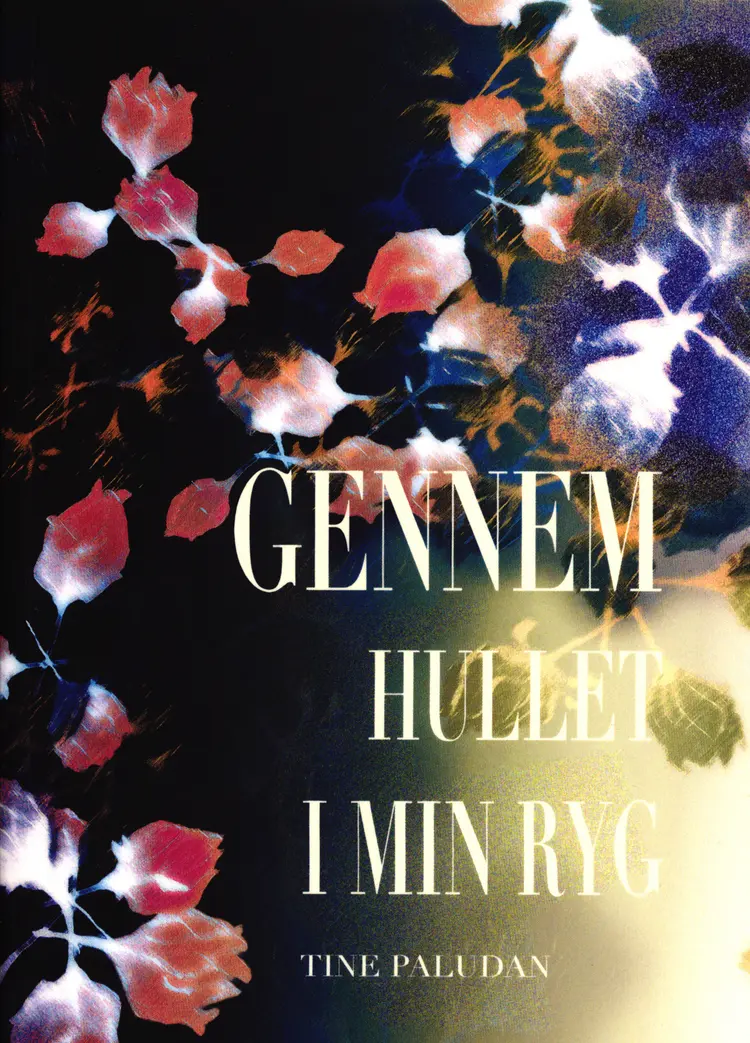 Gennem hullet i min ryg af Tine Paludan