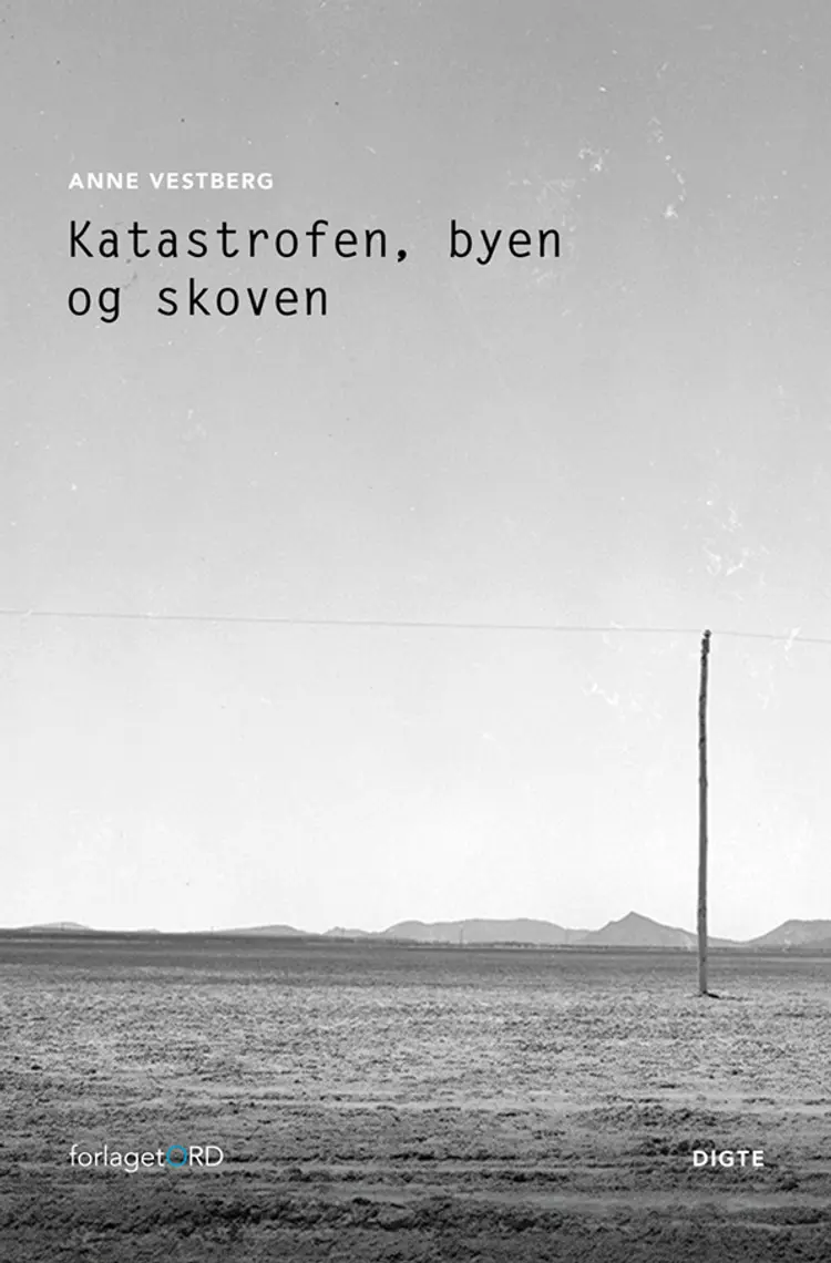 Katastrofen, byen og skoven af Anne Vestberg