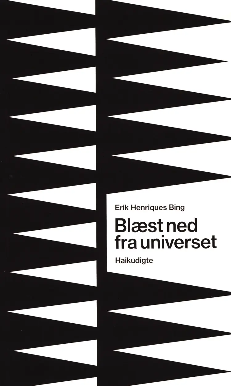 Blæst ned fra universet af Erik Henriques Bing