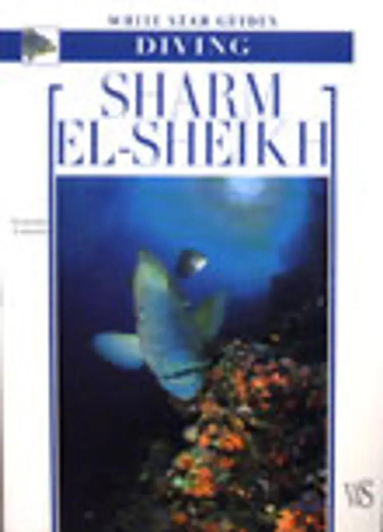 Sharm El-Sheikh, Diving