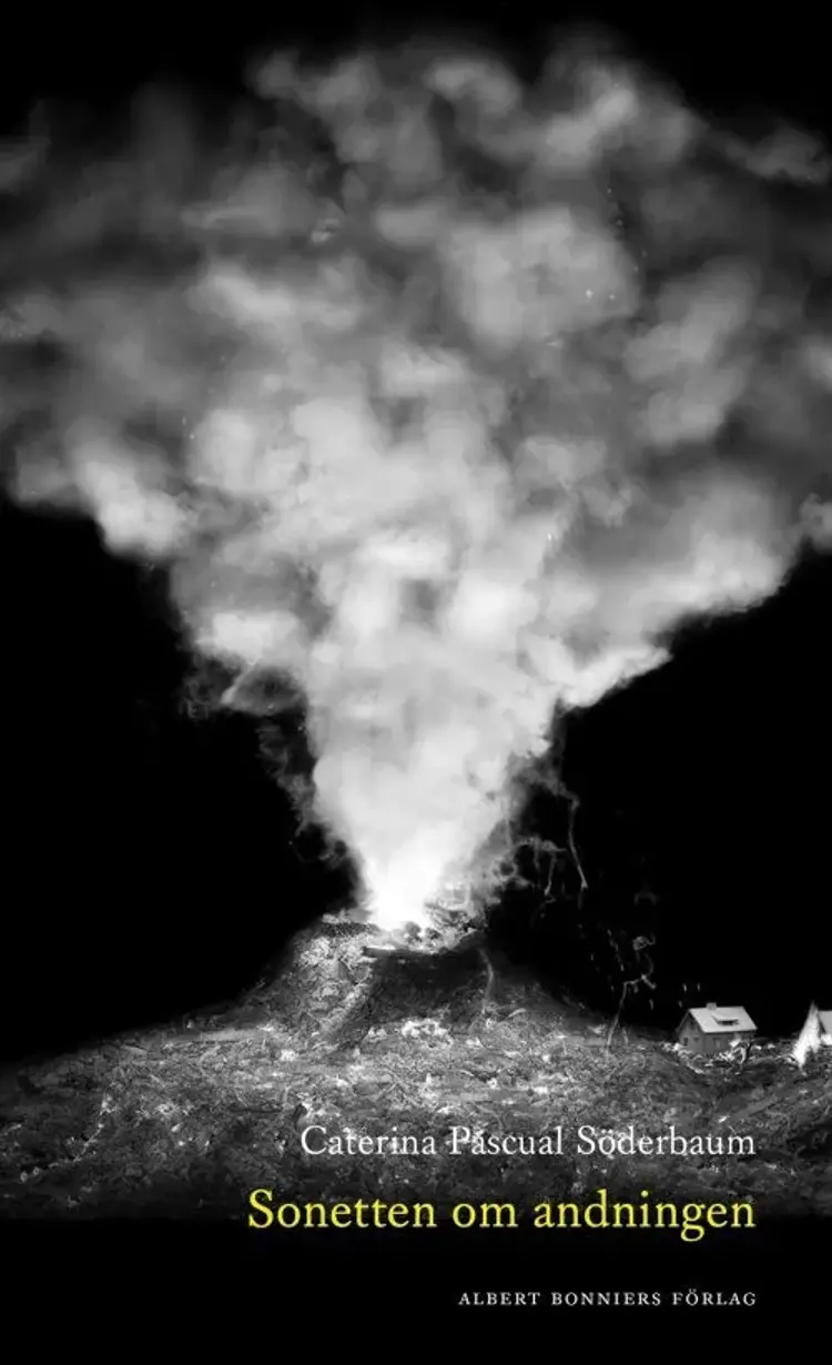 Sonetten om andningen af Caterina Pascual Söderbaum