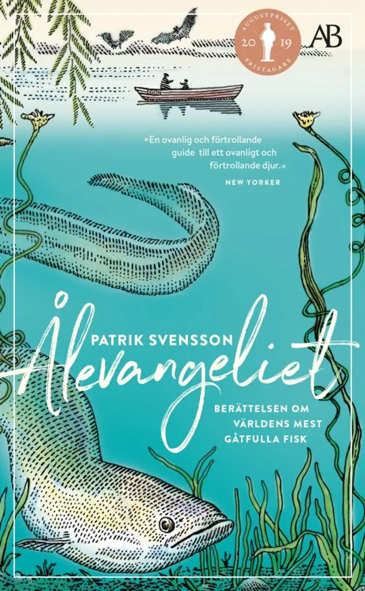 Ålevangeliet : berättelsen om världens mest gåtfulla fisk af Patrik Svensson