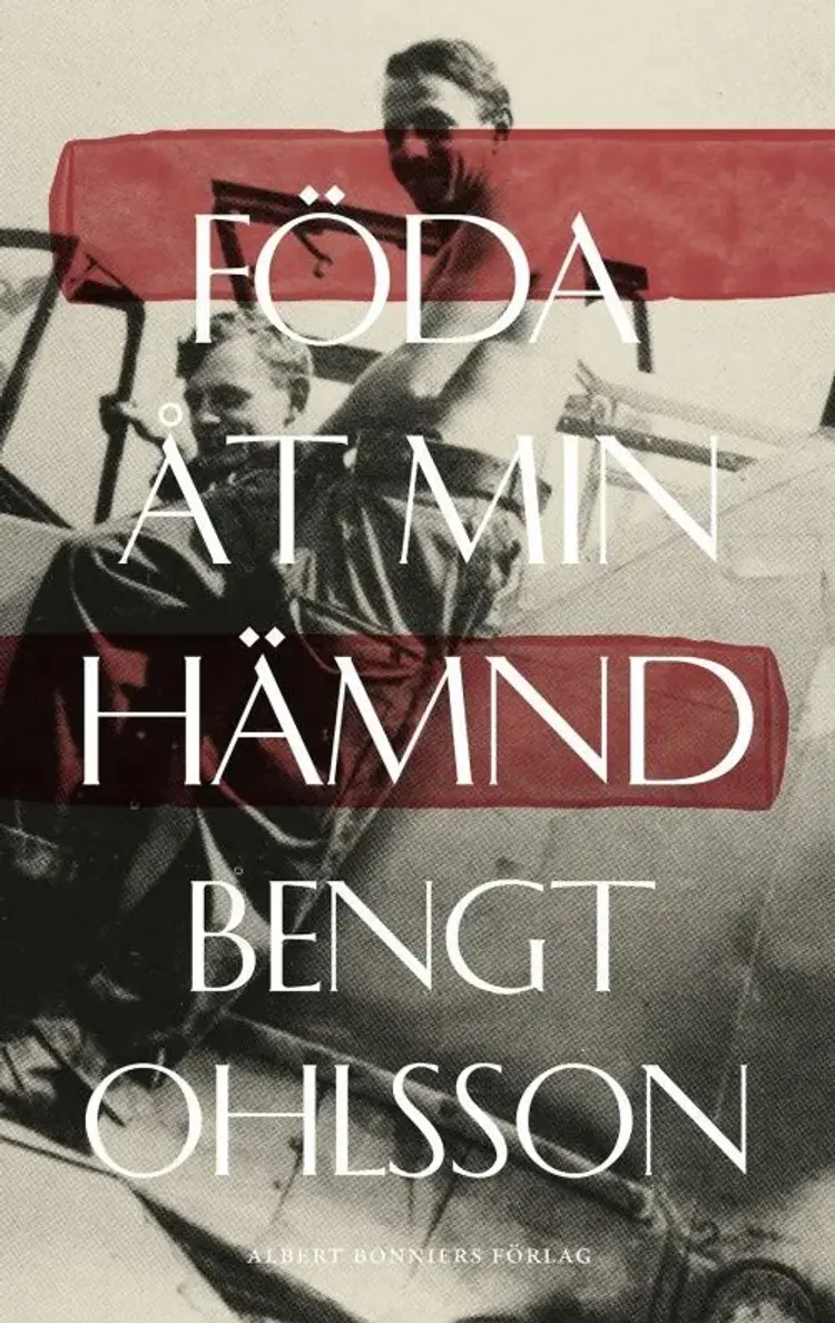 Föda åt min hämnd af Bengt Ohlsson
