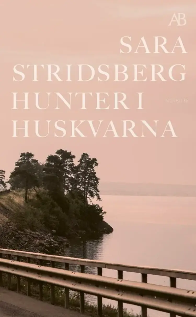 Hunter i Huskvarna af Sara Stridsberg