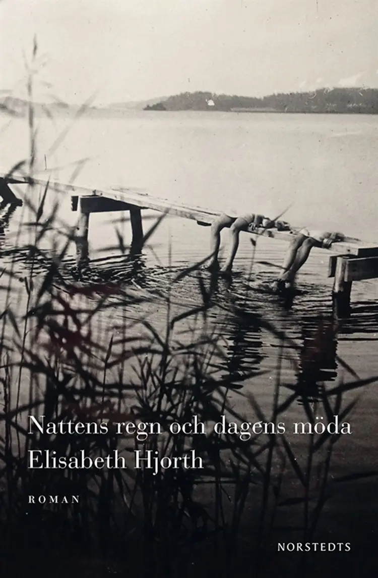 Nattens regn och dagens möda af Elisabeth Hjorth