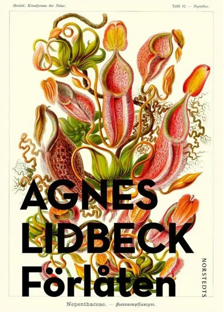 Förlåten af Agnes Lidbeck