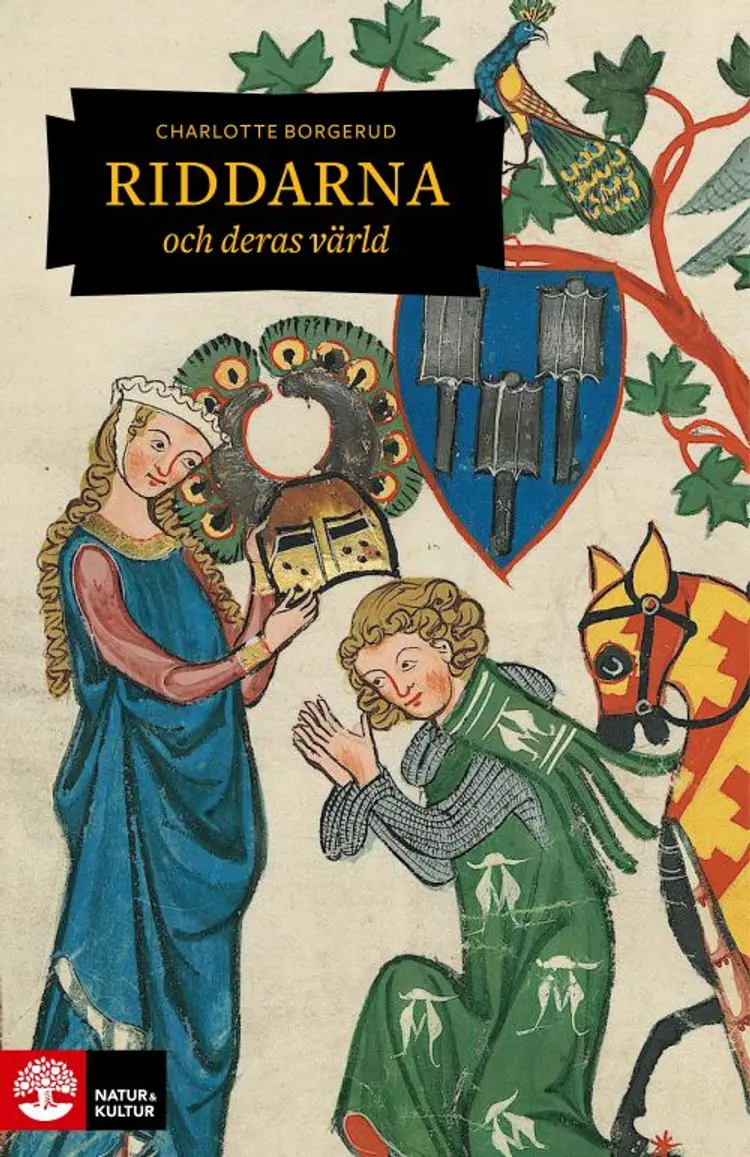 Riddarna och deras värld af Charlotte Borgerud