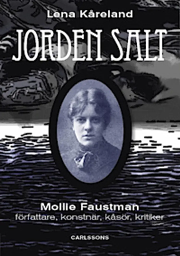 Jordens salt af Lena Kåreland
