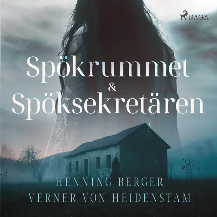 Spökrummet & Spöksekretären af Verner von Heidenstam