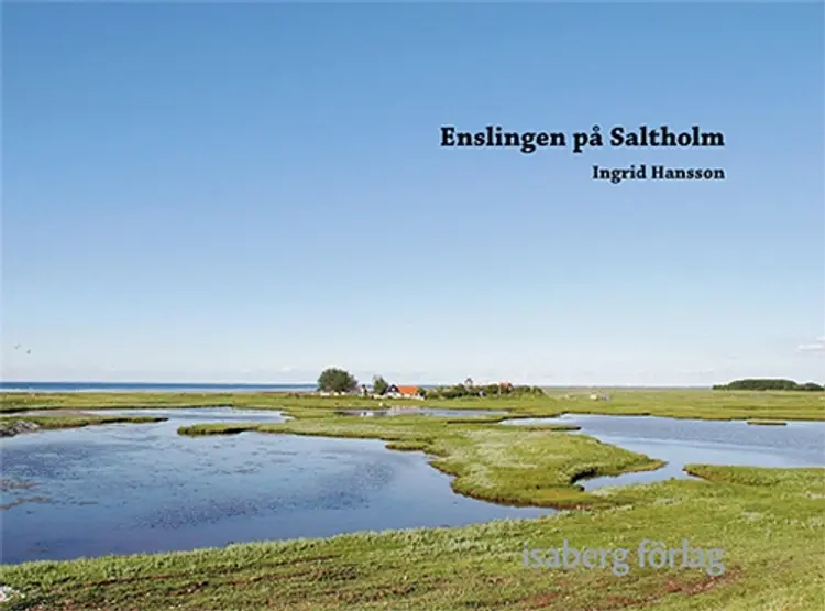 Enslingen på Saltholm af Ingrid Hansson