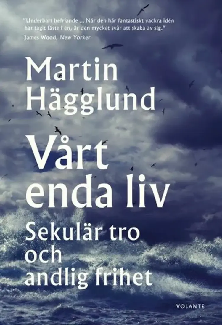 Vårt enda liv : sekulär tro och andlig frihet af Martin Hägglund