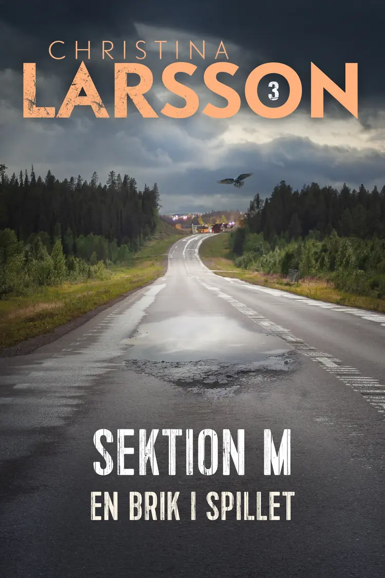 En brik i spillet af Christina Larsson
