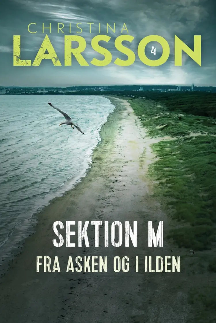 Fra asken og i ilden af Christina Larsson