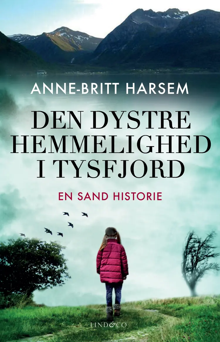 Den dystre hemmelighed i Tysfjord af Anne-Britt Harsem