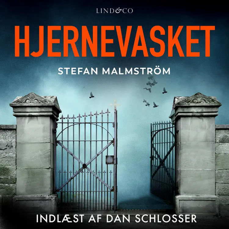 Hjernevasket af Stefan Malmström