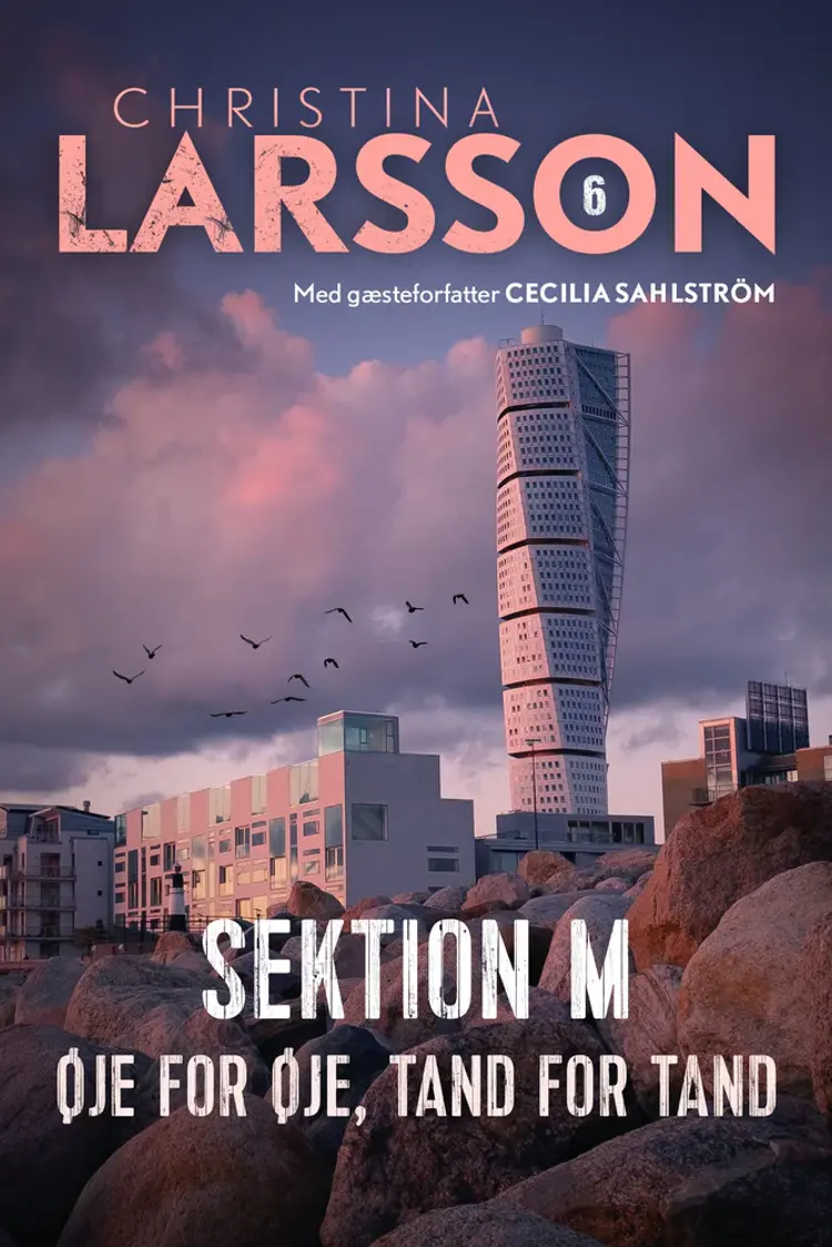 Øje for øje, tand for tand af Cecilia Sahlström