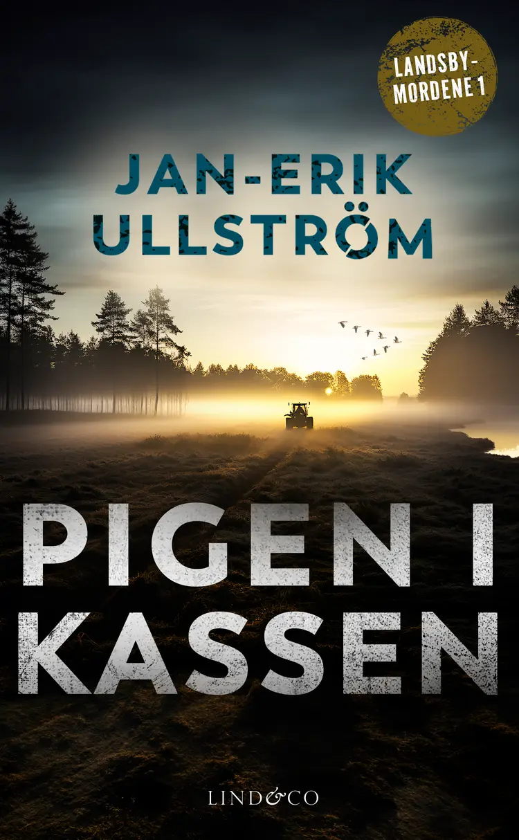 Pigen i kassen af Jan-Erik Ullström
