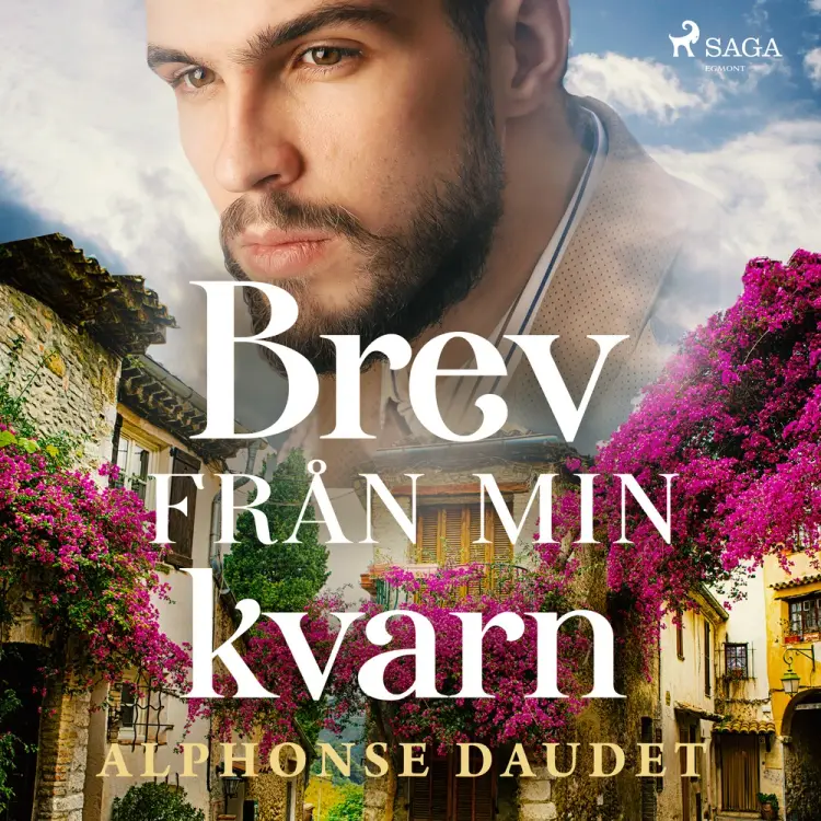 Brev från min kvarn af Alphonse Daudet