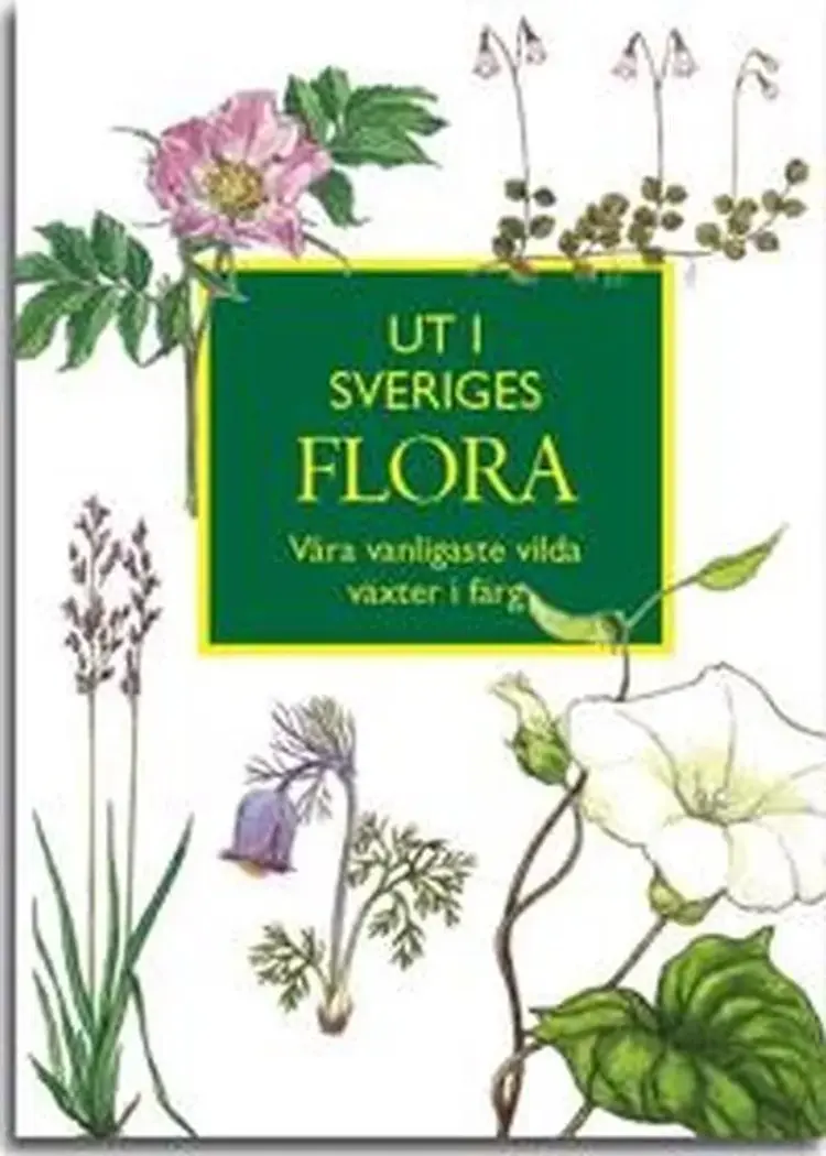 Ut i Sveriges flora : våra vanligaste vilda växter i färg af Ingvar Nordin