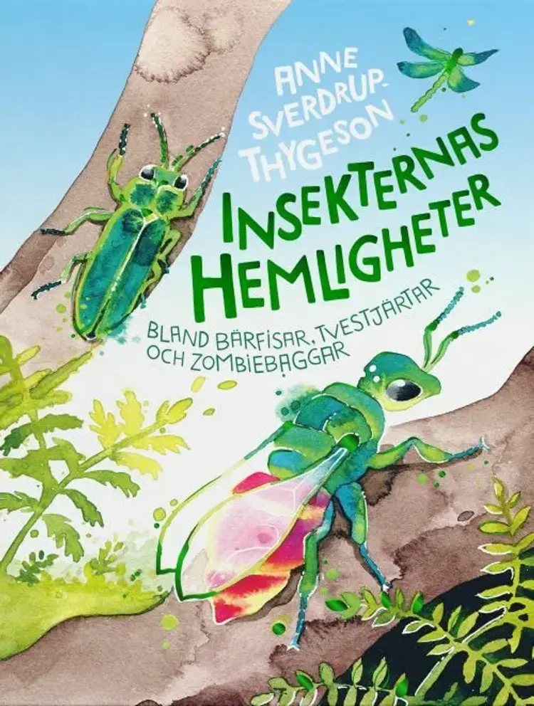 Insekternas hemligheter : bland bärfisar, tvestjärtar och zombiebaggar af Anne Sverdrup-Thygeson
