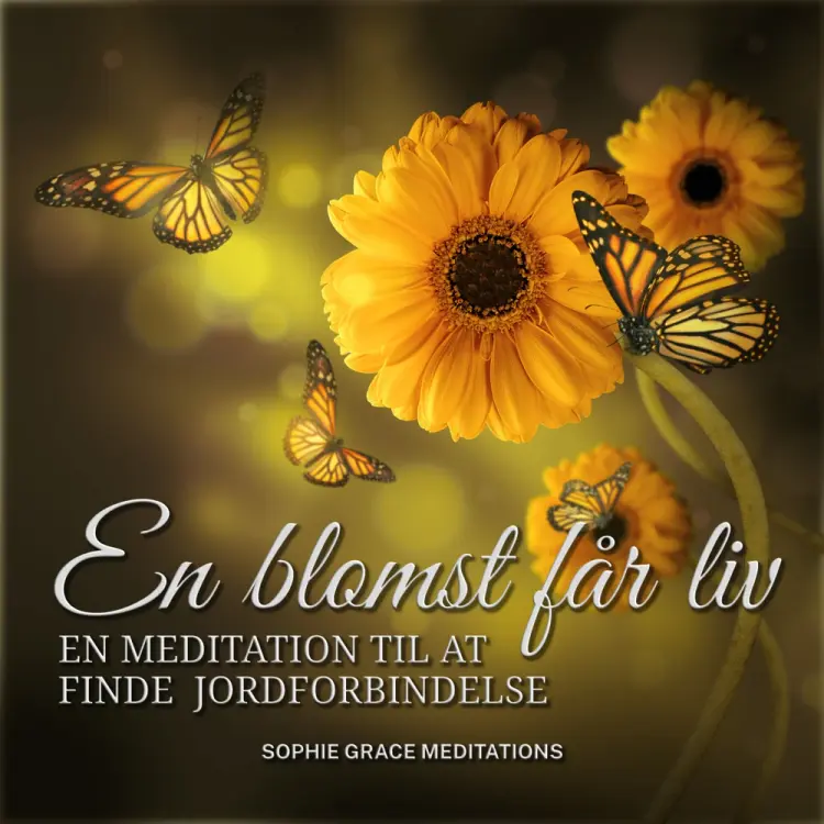 En blomst får liv. En meditation til at finde jordforbindelse af Sophie Grace Meditations