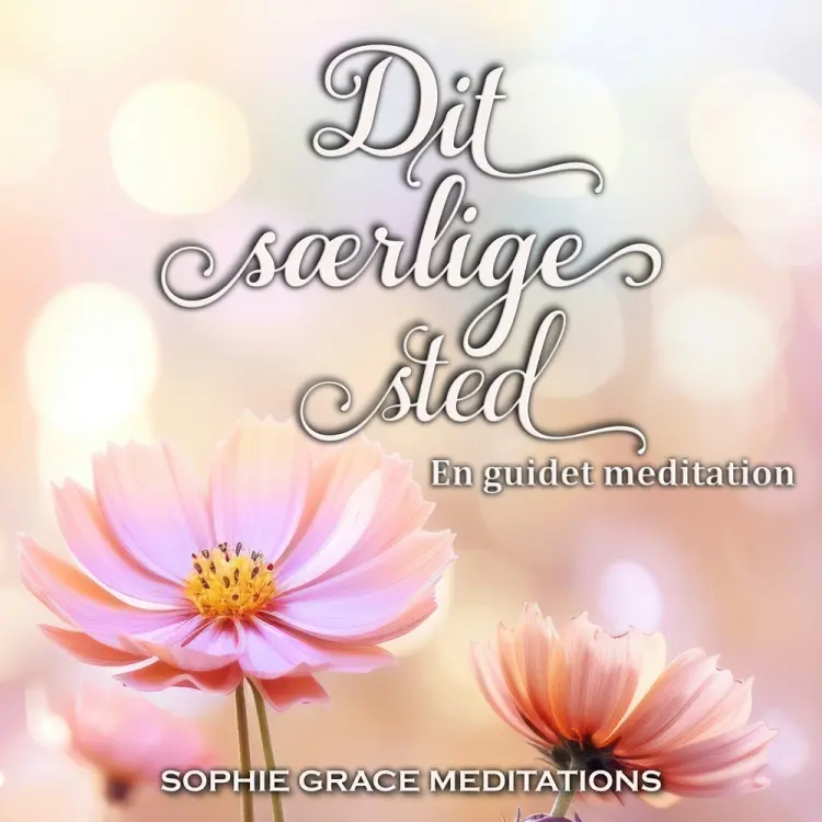 Dit særlige sted af Sophie Grace Meditations