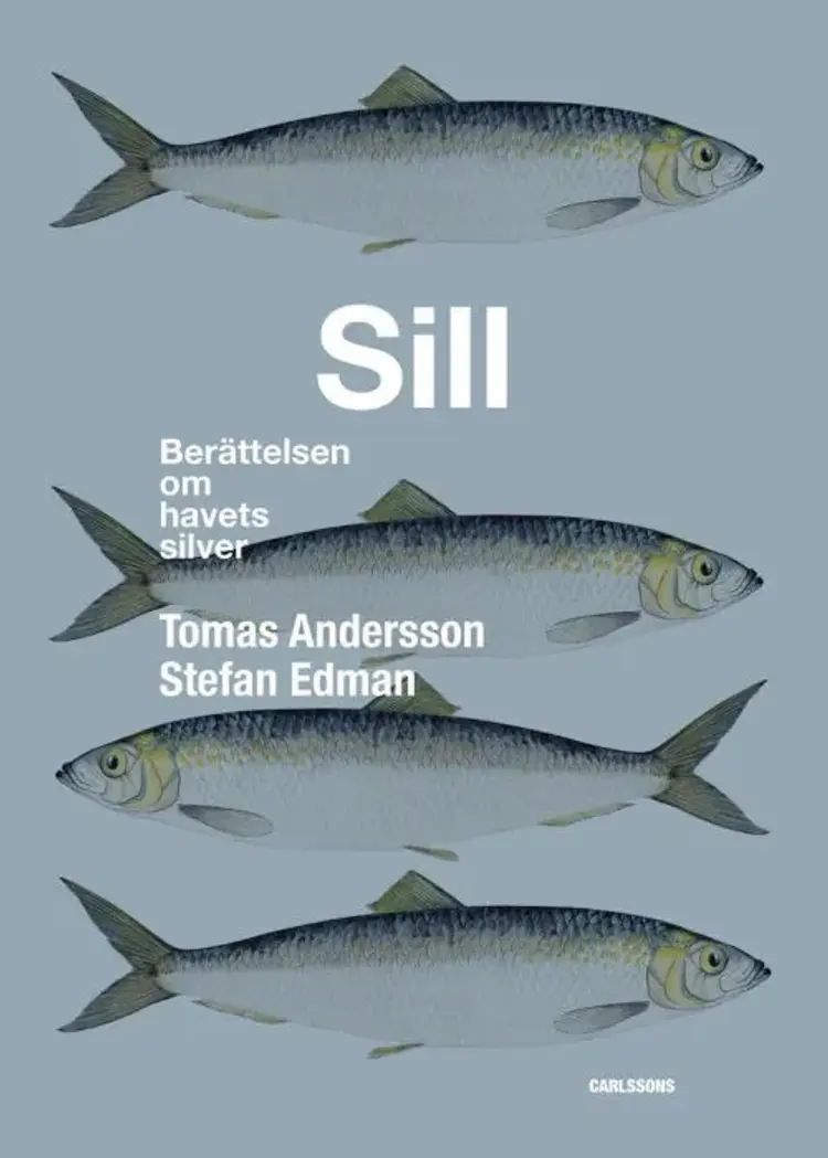 Sill : berättelsen om havets silver af Stefan Edman