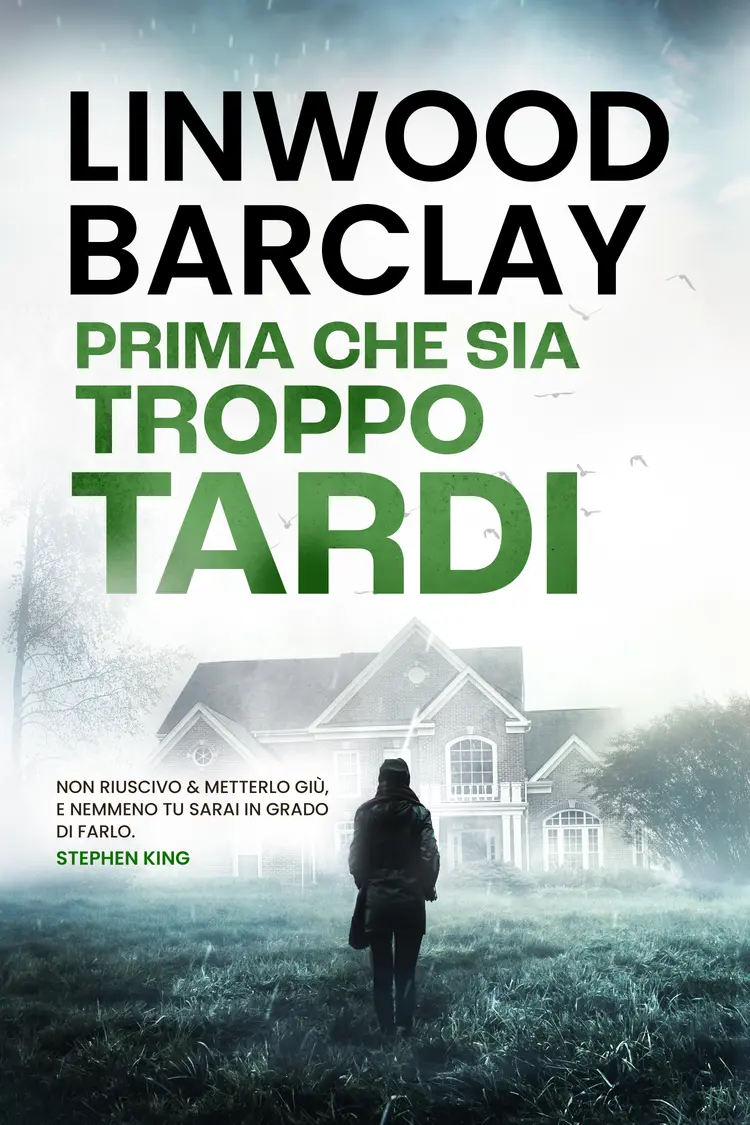 Prima che sia troppo tardi af Linwood Barclay