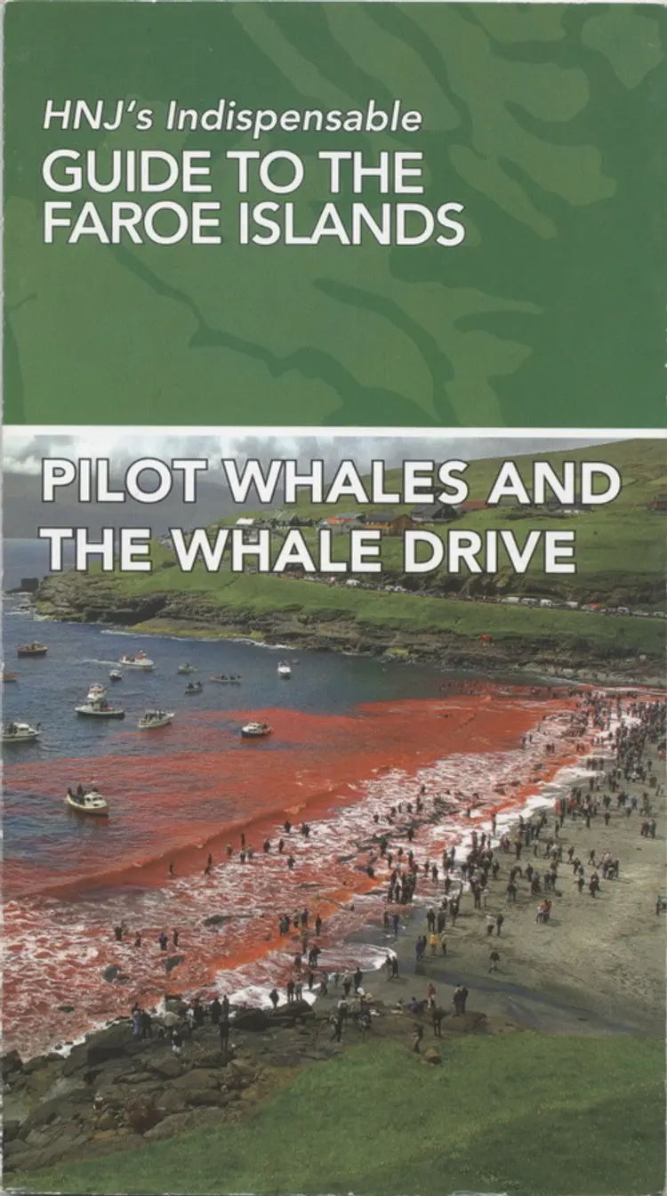 Pilot Whales And The Whale Drive af Dorete Bloch