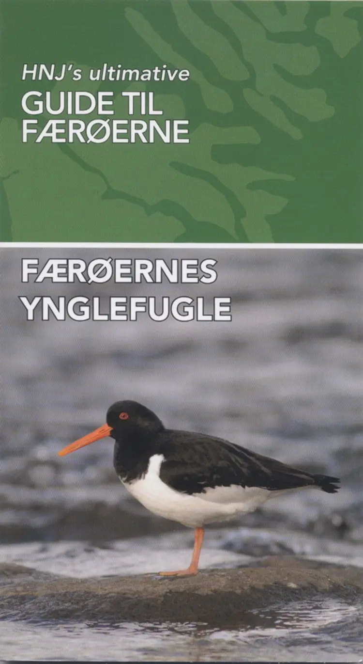 Færøernes Ynglefugle af Jens-Kjeld Jensen